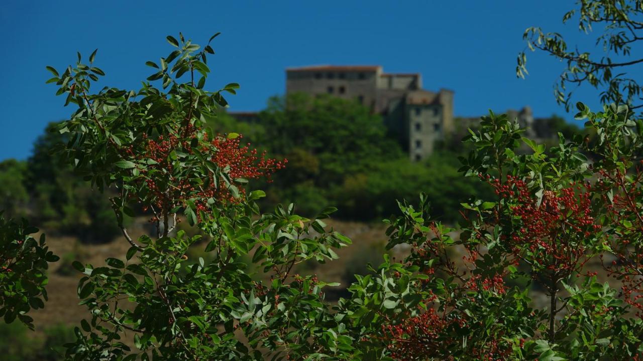 La Terrazza Sul Lago Turano Castel di Tora Eksteriør billede