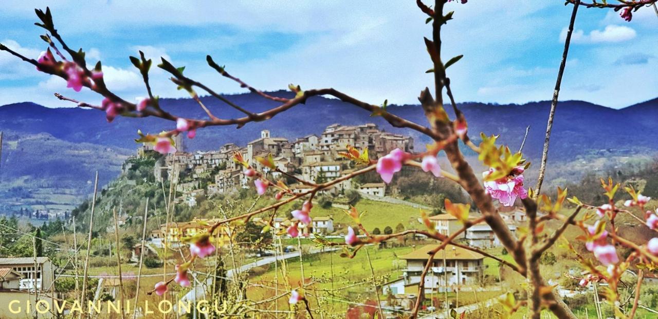 La Terrazza Sul Lago Turano Castel di Tora Eksteriør billede